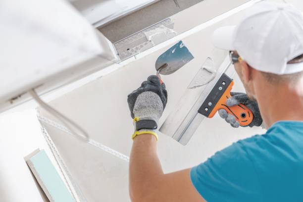 Professional Mold Removal in Milford, DE